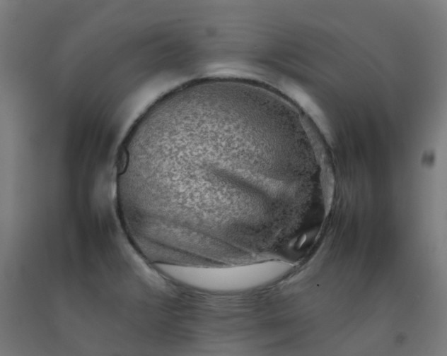 X0000092271376200709281215