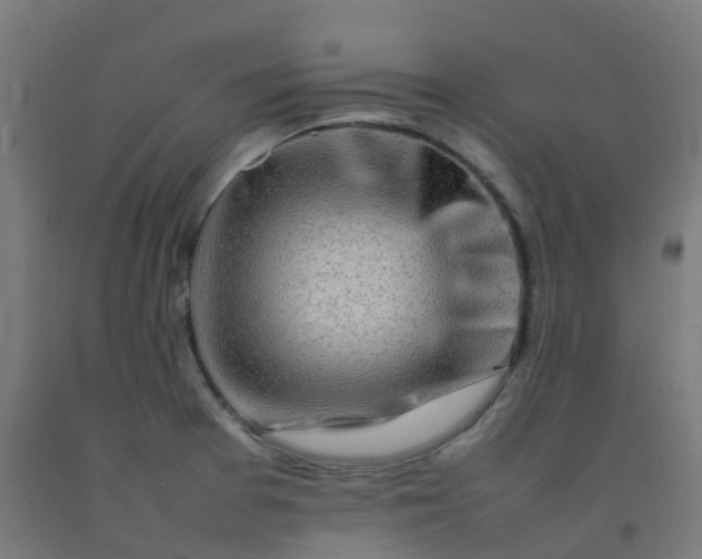 X0000092271377200709281215