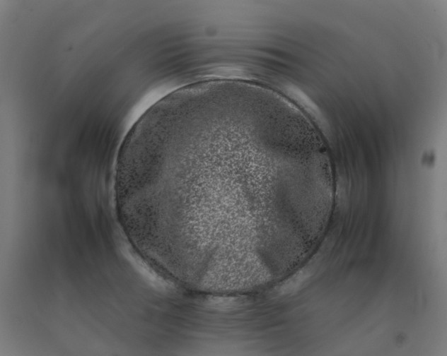 X0000092271378200709281215