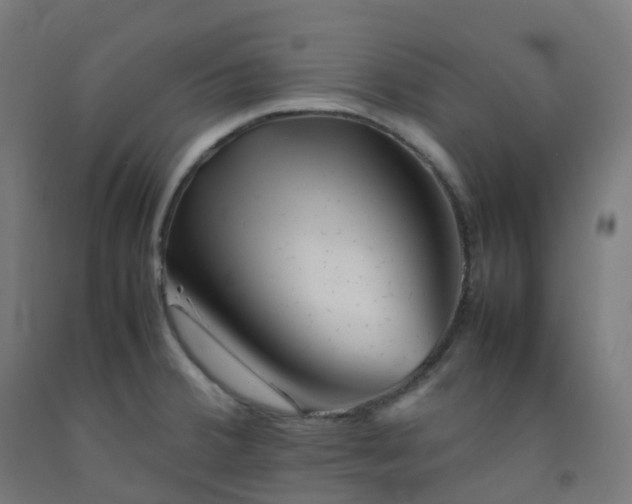 X0000092271380200709281215