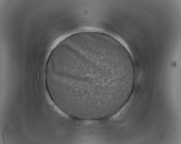 X0000092271381200709281215
