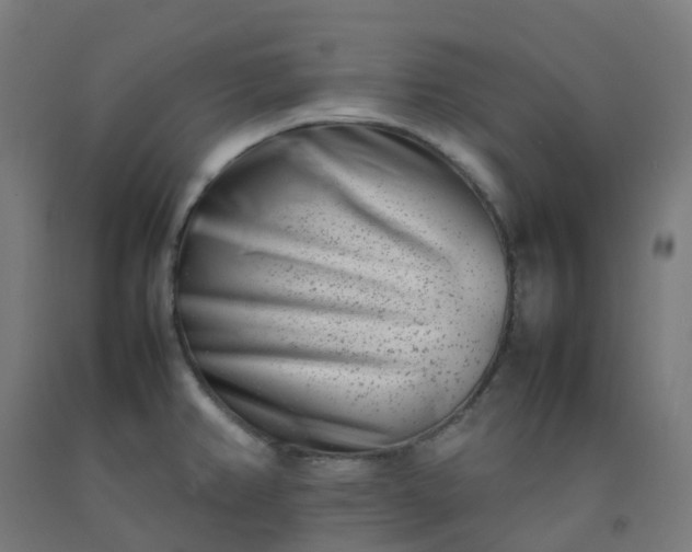 X0000092271382200709281215