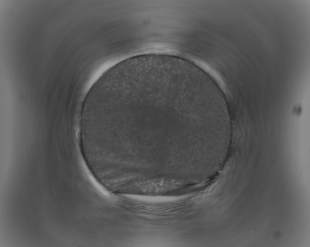 X0000092271383200709281215