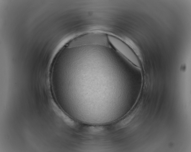 X0000092271384200709281215