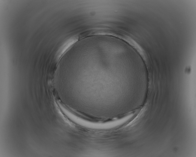 X0000092271385200709281215