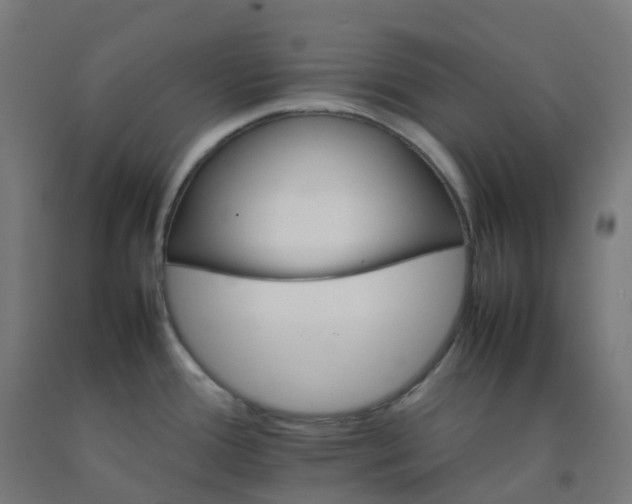 X0000092271388200709281215