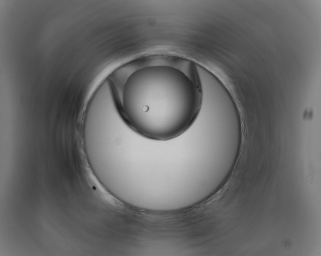 X0000092271392200709281215