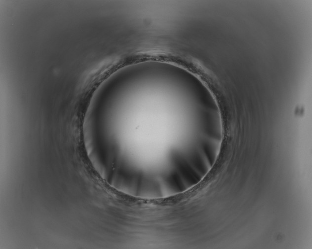 X0000092271398200709281214