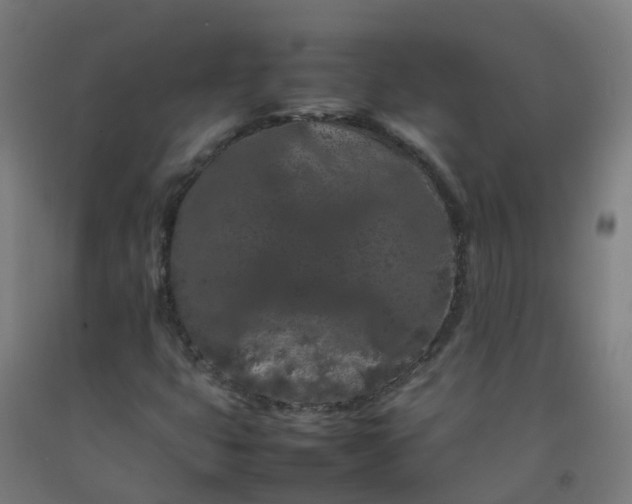 X0000092271399200709281214