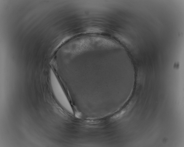 X0000092271401200709281214