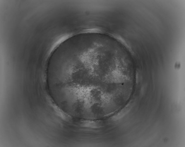 X0000092271405200709281214