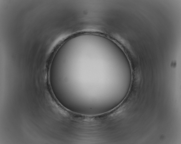 X0000092271408200709281215