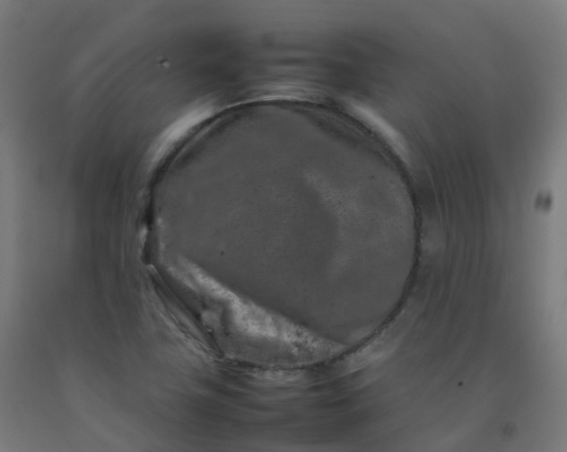 X0000092271411200709281215