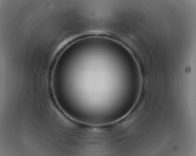 X0000092271412200709281215