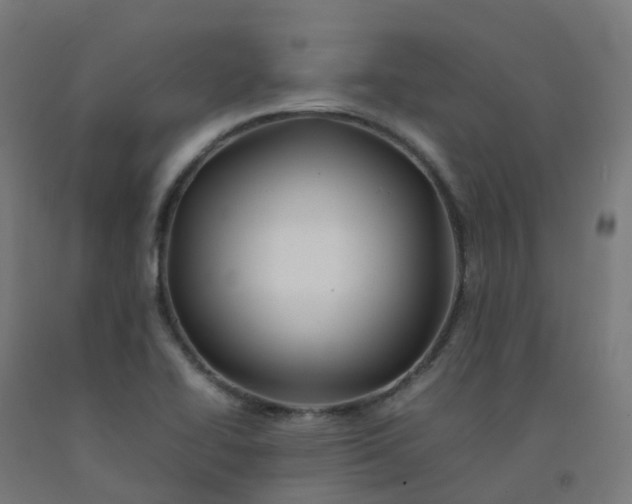 X0000092271414200709281215