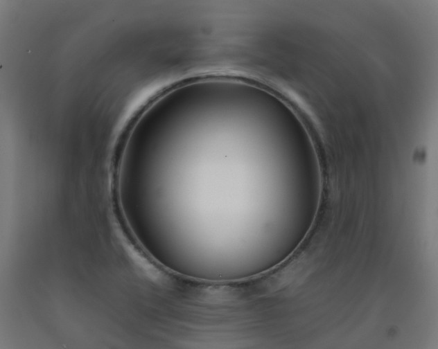 X0000092271416200709281215