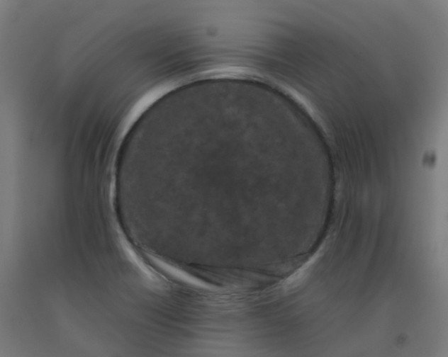 X0000092271418200709281215