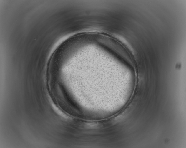 X0000092271421200709281215