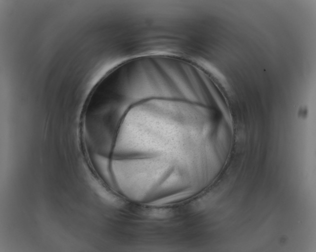 X0000092271423200709281215