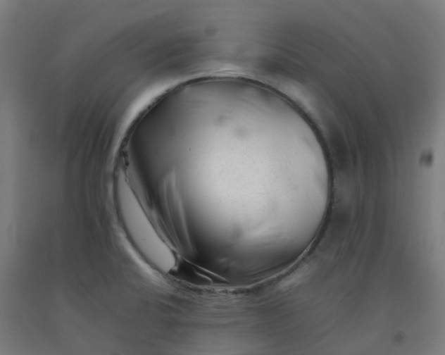 X0000092271424200709281215