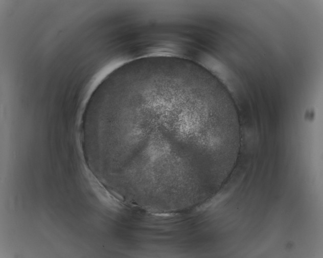 X0000092271427200709281215