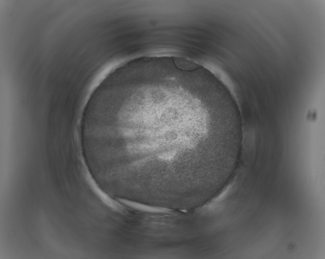 X0000092271429200709281215