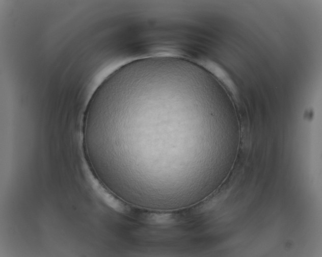 X0000092271431200709281215