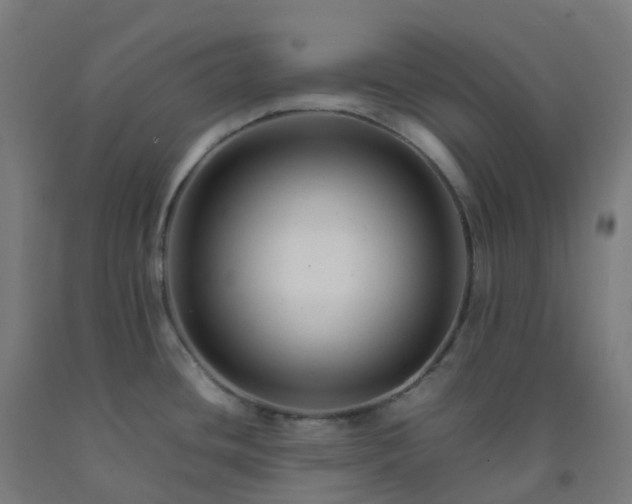 X0000092271436200709281215