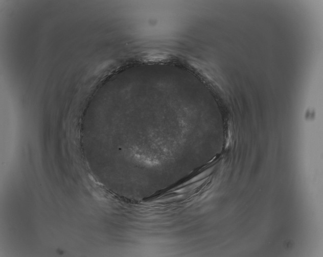 X0000092271441200709281214