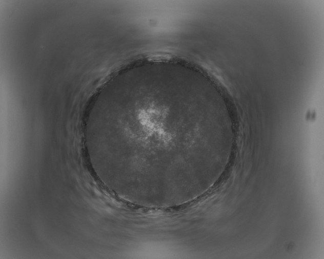 X0000092271445200709281214