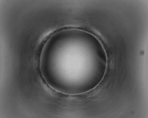X0000092271448200709281214