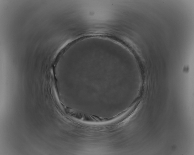 X0000092271449200709281214
