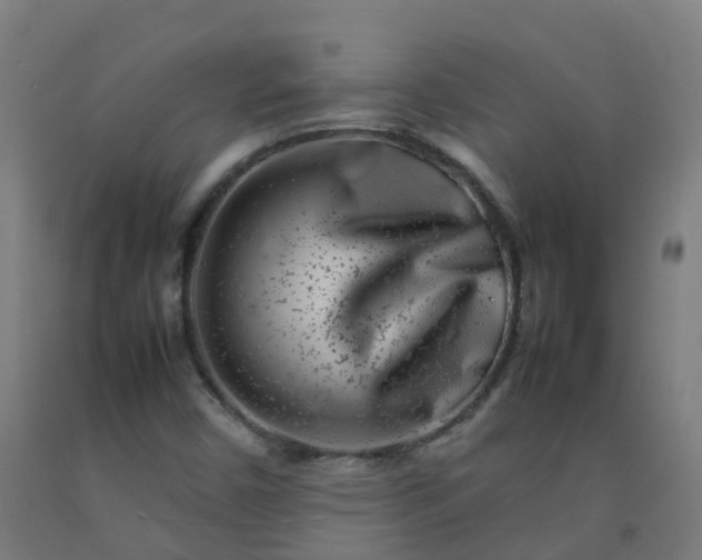 X0000092271450200709281214