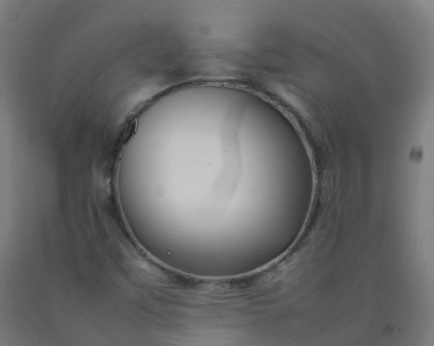 X0000092271451200709281214