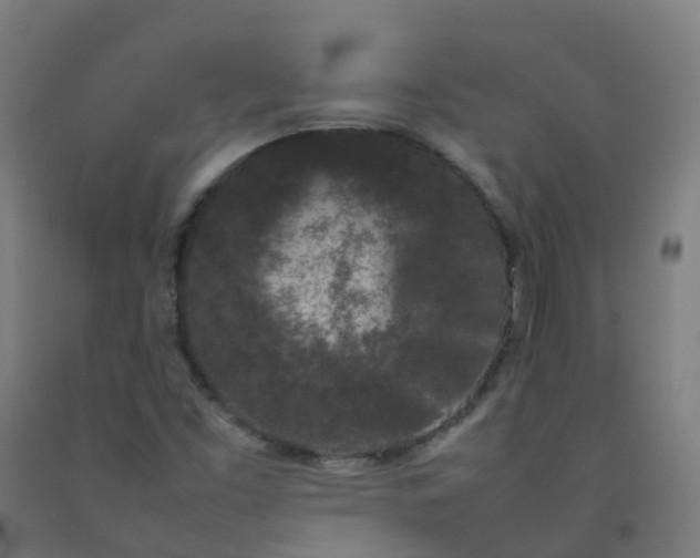 X0000092271453200709281214