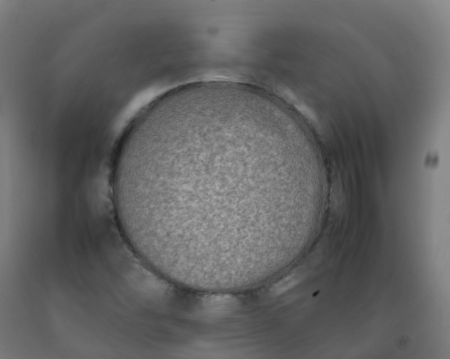 X0000092271454200709281214