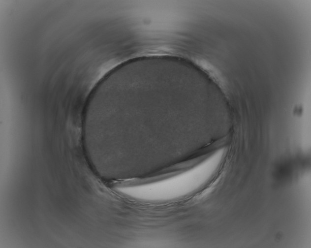 X0000092271457200709281214