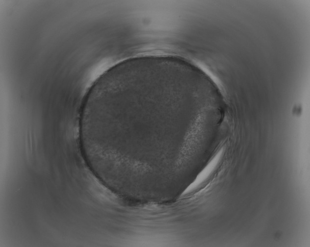 X0000092271459200709281214