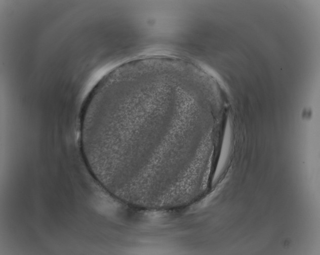 X0000092271461200709281214