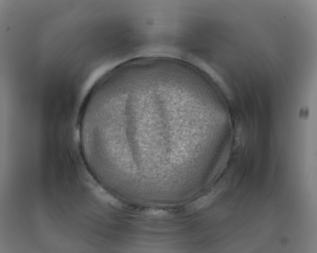 X0000092271462200709281214