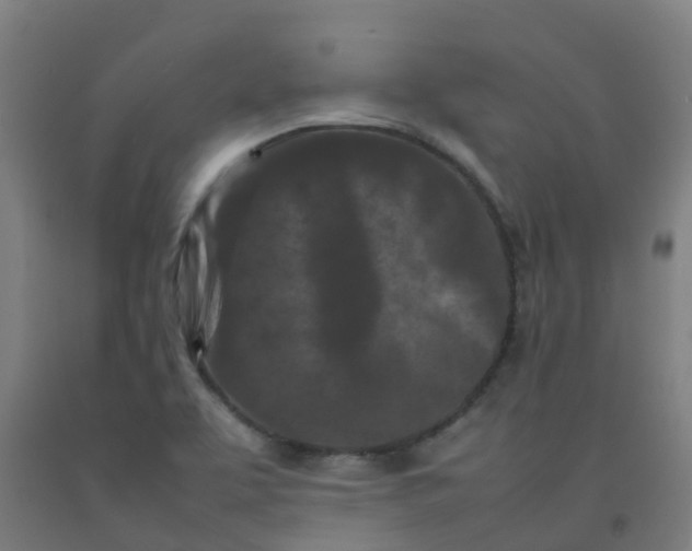 X0000092271463200709281214