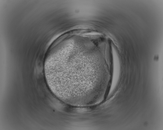 X0000092271465200709281214