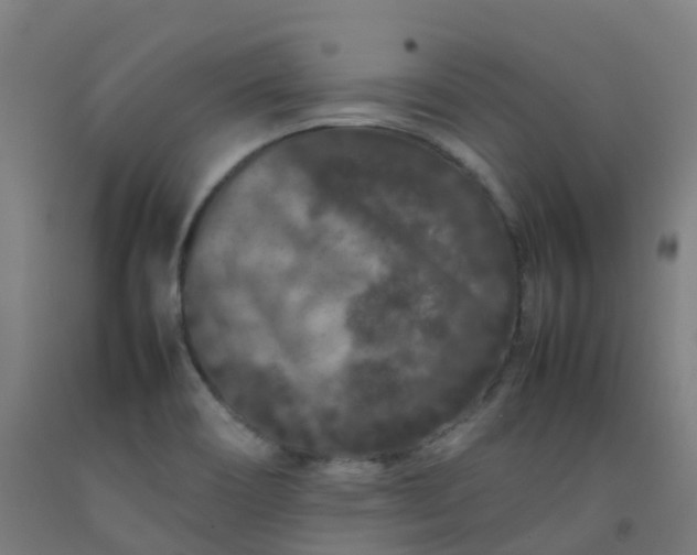 X0000092271466200709281214