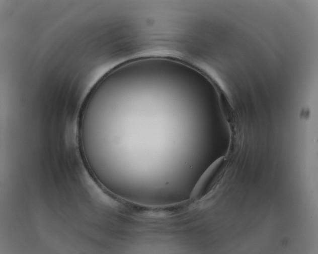 X0000092271468200709281214
