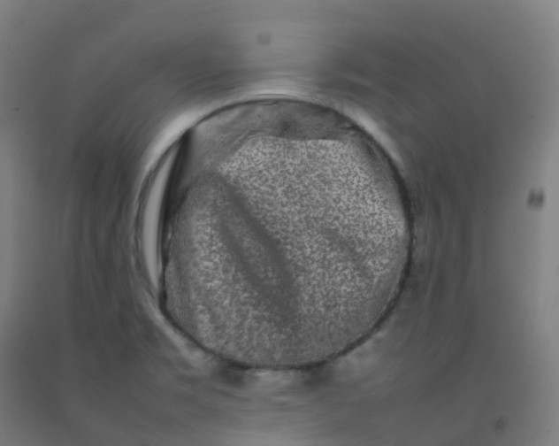 X0000092271469200709281214