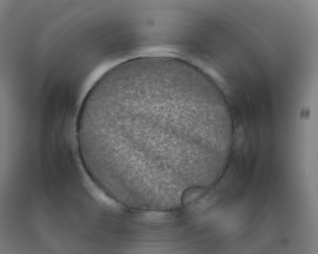 X0000092271470200709281214