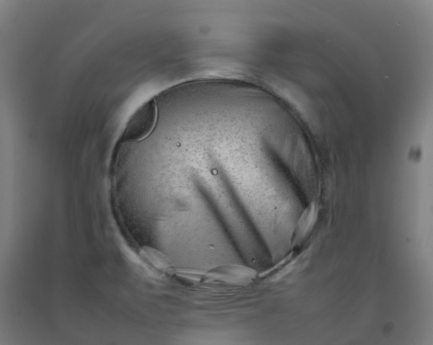 X0000092271471200709281214