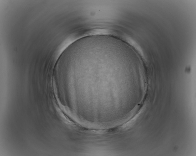 X0000092271473200709281214