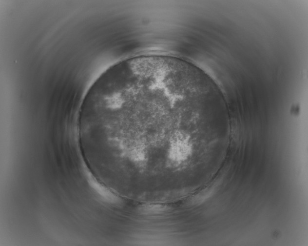 X0000092271474200709281214
