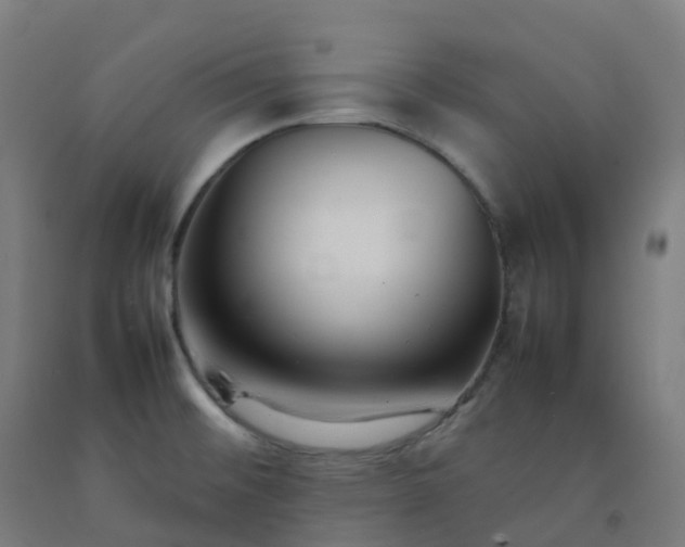 X0000092271476200709281214